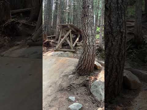 Whistler bike park train