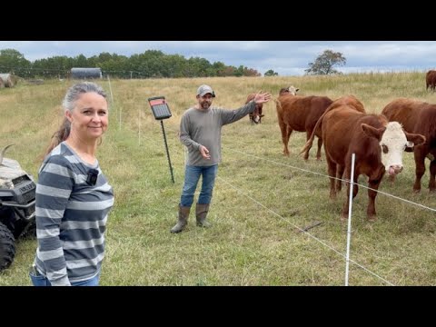 Our FULL Homestead Morning Chore Routine.