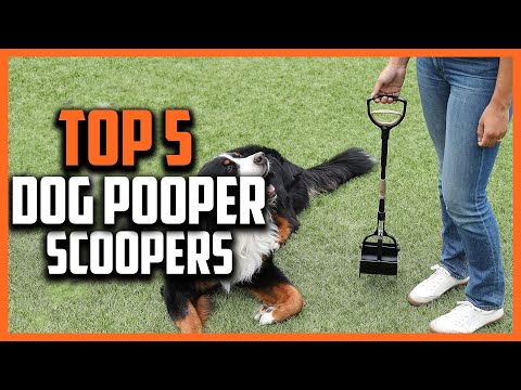 ✅Top 5 Best Dog Pooper Scoopers of 2024