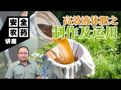 【Baba安全农药讲座】高效液体肥之制作及运用？怎样简单快速自制6种植物喝了长得更健壮茂盛的植物营养元素 | 氮磷钾钙镁硼 | 有机液体肥