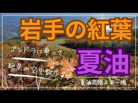 【岩手の紅葉】夏油高原のゴンドラに乗って絶景の空中散歩♪