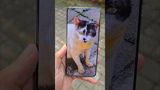 Vivo X200 Pro Camera Test 🔥