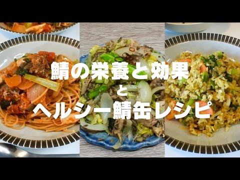 【ヘルシーレシピ】超簡単！鯖缶の栄養で動ける身体作り　健康｜栄養｜Wellness