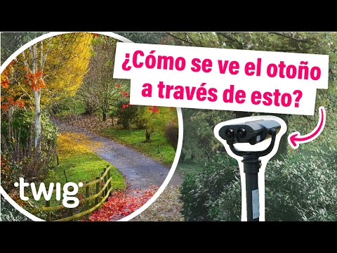 Los parques de Virginia ayudan a los visitantes con daltonismo a disfrutar de los colores del otoño