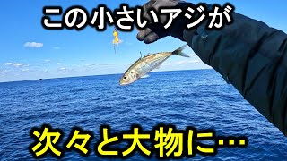 小アジを釣って落とすだけで大物に喰われまくる堤防釣りがこちらです。【泳がせ釣り】