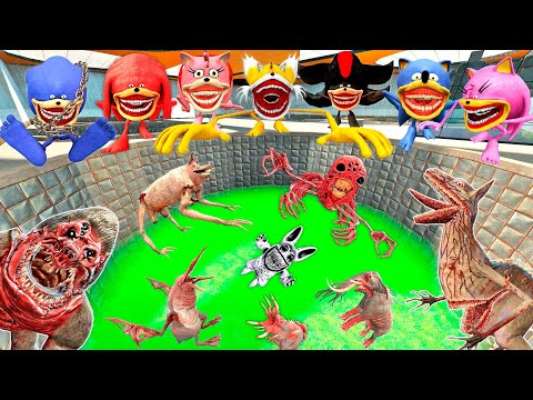 💥 EVOLUTION OF ORIGINAL NEW ZOOCHOSIS MONSTERS ANIMALS in Gmod !