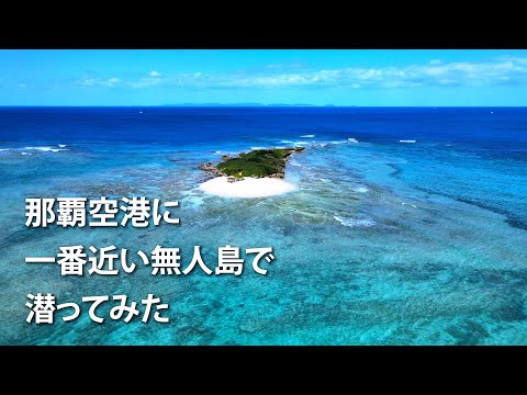 那覇空港に一番近い無人島｜沖縄の穴場シュノーケリングスポット「岡波島」でスキンダイビング