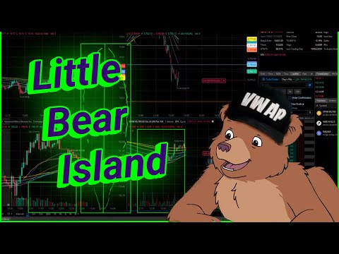 Little Bear Island