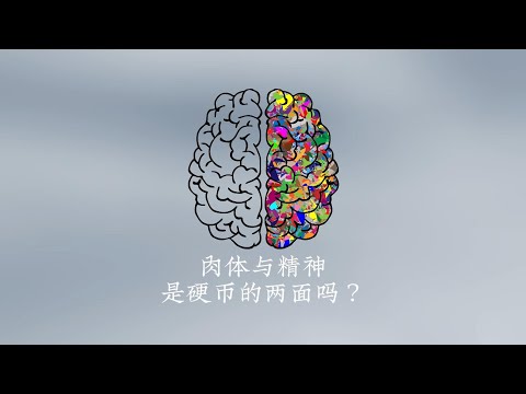 意識與精神是硬幣的兩面嗎