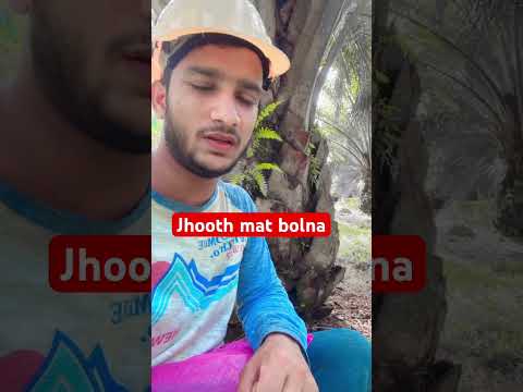 Jhooth mat bolna #malaysia #india #shorts #viralshort #foryou #ytshortsvideo #harvesting