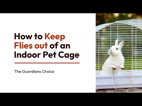 3 Ways to Keep Flies out of an Indoor Pet Cage | The Guardian's Choice