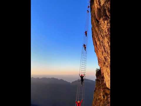 Friends, do you dare to climb such a ladder?