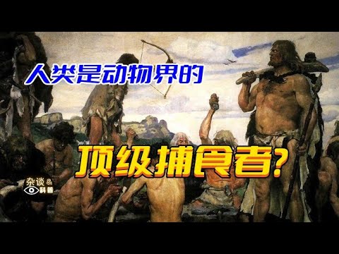 为什么说人类是动物界的顶级捕食者？Why is man the top predator in the animal kingdom?（杂谈科普汇）