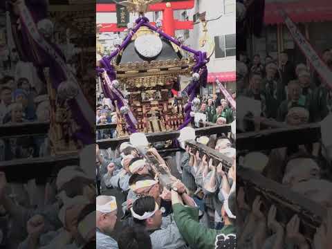 【本編はすぐ上のリンクから】下谷神社大祭 本社神輿宮出し渡御 2024年5月12日（日）【浅草中屋】