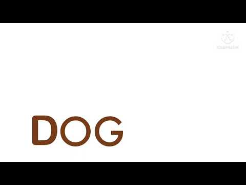 Learn the ABCs: “D” is for Dog