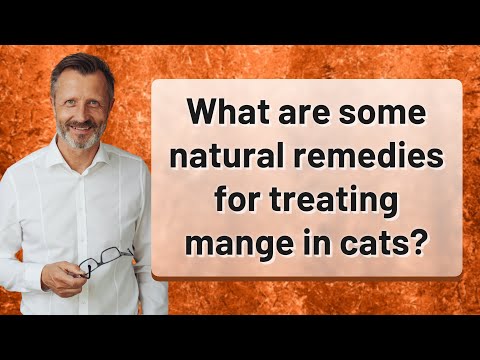 What are some natural remedies for treating mange in cats?