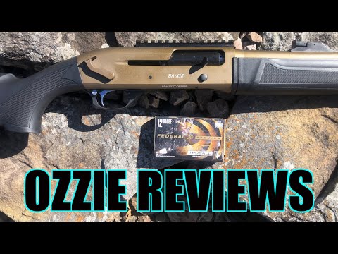 Bushmeister "BA-X12" Tactical 12g Shotgun (full review)