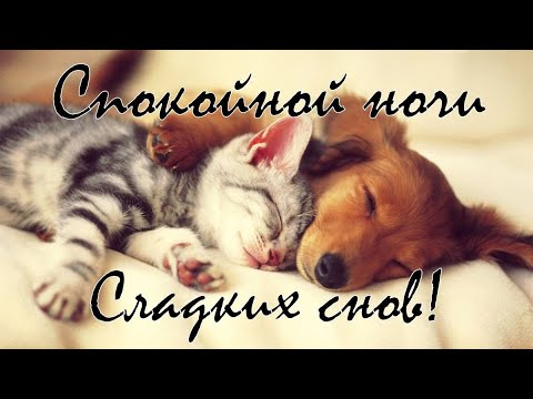 Спокойной ночи // Сладких снов 😴🌟 Красивое Пожелание