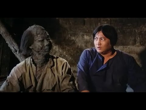 Encounter of the Spooky Kind (1980) - Hong Kong Movie Review