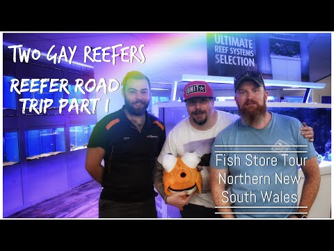 Reefer Road Trip Part I - Fish Store Tour, Northern New South Wales