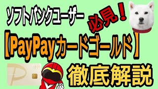 ソフトバンクユーザー必見!PayPayカードゴールド 徹底解説