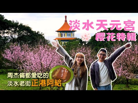 【新北景點🌸】帶你玩視覺與味蕾的賞櫻之旅！淡水天元宮賞櫻 | 周杰倫常吃的淡水老街「阿給」| Taiwan 🇹🇼 Travel