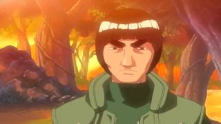 Rock Lee's Perseverance