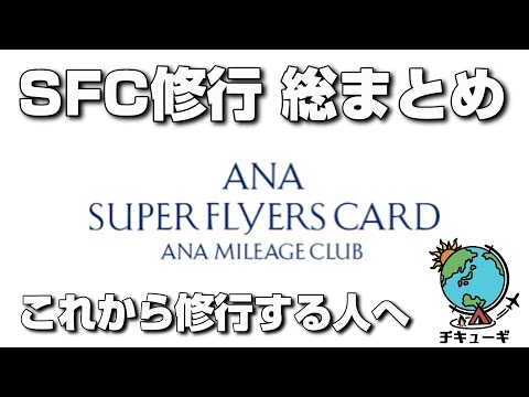 【SFC修行】解脱後の総まとめ「修行の全貌」