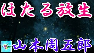 【朗読】ほたる放生　山本周五郎　読み手アリア