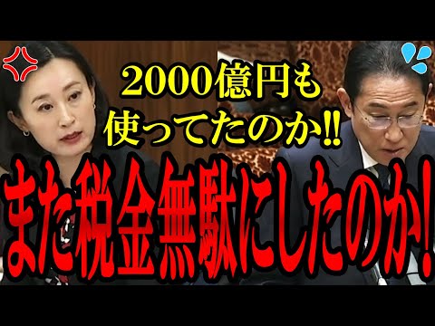 【衝撃事実!】マイナ保険関連で新たに2000億円使ってたことが判明！発言が食い違う河野大臣と岸田総理がヤバイ...【国会中継】【田島麻衣子】