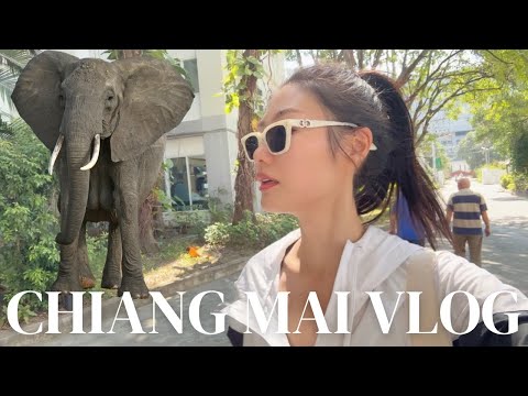 Thailand Travel Vlog: Petting Elephants, Best Thai food, Temples, Massage