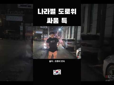 나라별 도로 위 싸움 특 #shorts