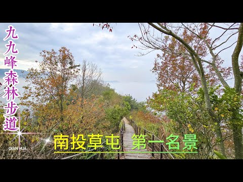 【九九峰森林步道】台灣百大必訪步道，南投草屯第一景，遠眺燃燒中的火焰世界。.