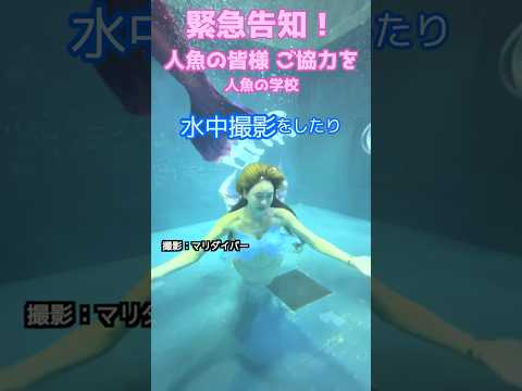 🧜‍♀️緊急で動画回してます！人魚の皆様へ/マーメイドスイム #mermaid #マーメイド #人魚