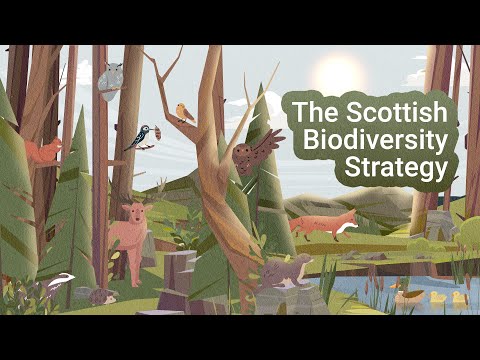 The Scottish Biodiversity Strategy