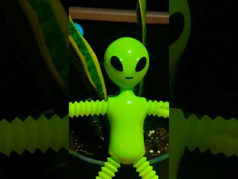 Little Green 👽 #alien #funnyshorts #aliens #green #plant #xfiles