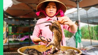 Asia’s SHOCKING Live Animal Market!!! Extreme Food Tour in the Mekong Delta!