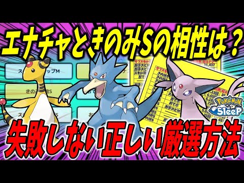 エナジーチャージの理想的な発動回数、厳選基準をきのみタイプと比較して解説【ポケモンスリープ】