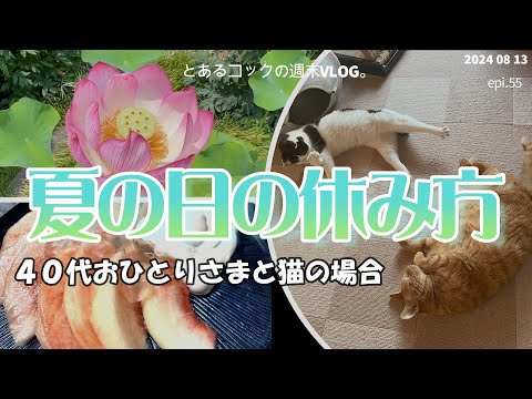 ４０代おひとりさま、と猫「夏の日の休み方」　epi.55　｜夏休み｜猛暑｜桃｜猫の爪とぎ｜夏祭り｜