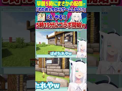 【【白上フブキ】早朝5時に突如始まったフブわたコラボが面白すぎたw【 #ホロライブ  / #切り抜き 】#vtuber #hololive #ホロライブ配信中 #切り抜き #shorts