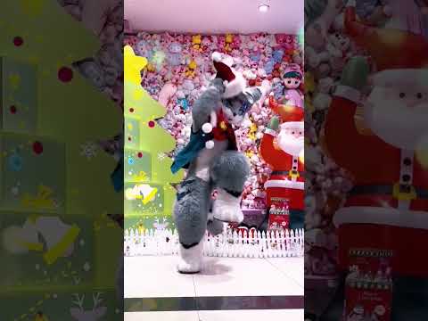 #merrychristmas everyone let's do a simple #dance #kemonofurry #kemonofursuit #kemono