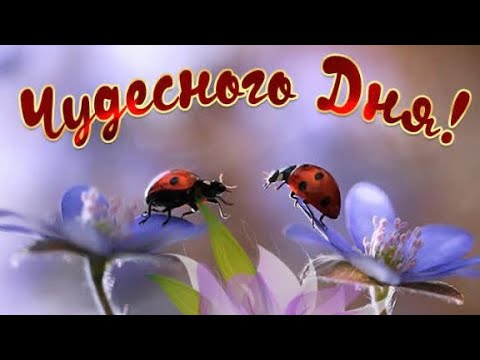 С ДОБРЫМ ВЕСЕННИМ УТРЕЧКОМ!🌸ХОРОШЕГО ДНЯ!🤗МУЗЫКАЛЬНАЯ ОТКРЫТКА🎶