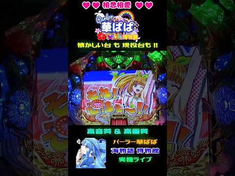 ✨RUSH直行便✨🎯ウリンチャージ保留大当り🎯🪇ギンギラパラダイス情熱カーニバル🪇【 パーラー華ぱぱ・海物語 博物館 】ショート動画 #shorts