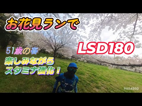 【マラソンスタミナ対策】LSD180分もお花見ジョグならあっという間！？台湾サンダルで走ってきたよ♪