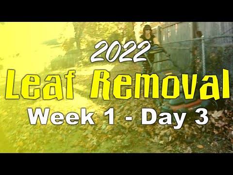 2022 Leaf Removal (Week 1 - Day 3)