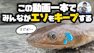 画期的なエソの捌き方動画見つけました！