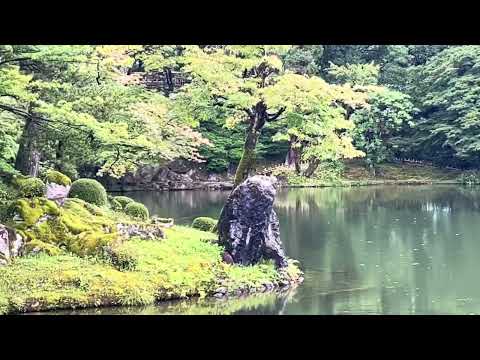 金沢観光　兼六園の7月