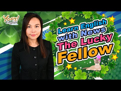 Learn English with News article | Cat News | Improve your fluency in English | News reading practice