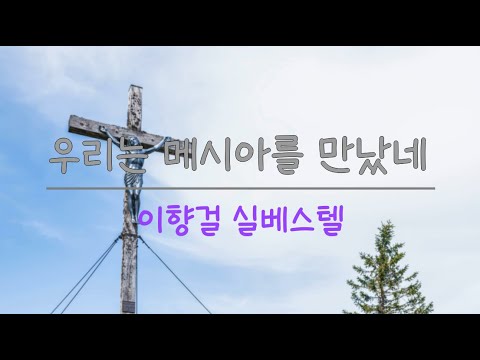 우리는 메시아를 만났네 _ 이향걸 실베스텔