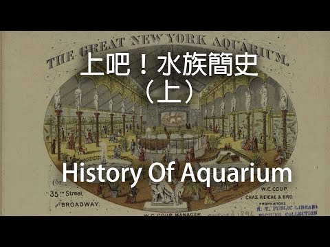 『水族系列 ep10』水族教學 | 新手養魚來上歷史課拉！看看在設備不發達的年代怎麼養魚 水族簡史（上）［CC字幕］